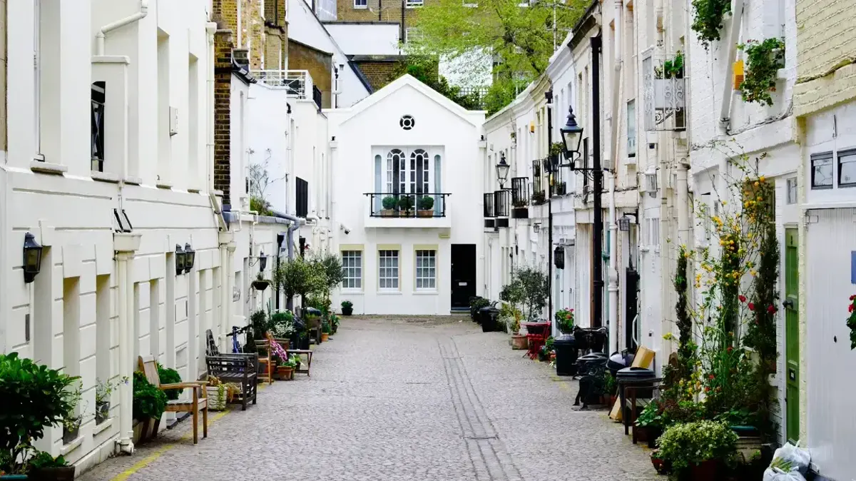 A quiet cobbled mews of white houses with plants along the pavement
